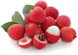 Image result for Sapindaceae