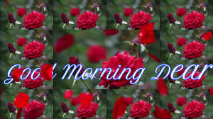 Check spelling or type a new query. Good Morning Flowers For You Video Good Morning à°¶ à°­ à°¦à°¯ Quotes In Telugu Video Wishes Greetings Youtube