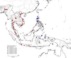 Image result for Lepistemon