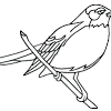 25 red robin coloring pages collection. 1