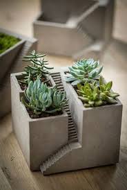 Man, i wish i could purchase these from that celebrity site i was reading this morning. 78 Plantarium Ideas Concrete Diy Plant Pot Diy Tea Party Garden