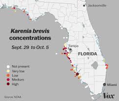 red tide why floridas toxic algae bloom is killing fish