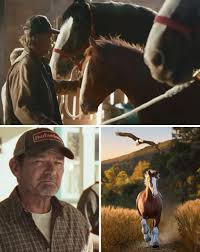 🇺🇸 “I Thought It Was Just a Super Bowl Ad — Then Budweiser Absolutely  Wrecked Me.” 🔥 What begins with a fragile bald eagle chick and a newborn  Clydesdale slowly becomes something