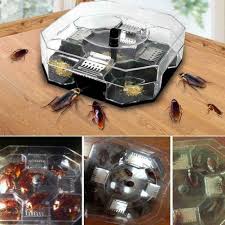 Buying the best roach traps can be a complicated process. Non Toxic Reusable Cockroach Trap Box Effective Killer Home Kitchen Bug Catcher House Household Tolls Roach Bait Station Cockroach Catcher Box Insect Trap Pest Control Reusable Device Empire Shopper Lazada