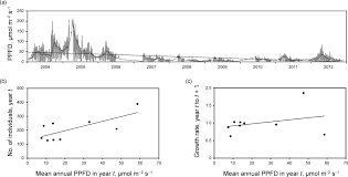 Image result for Nervilia adolphi
