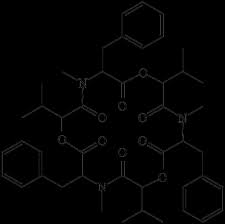 Latest muslim boys names with meaning/modern arabic baby boys names with meaning in malayalam 2020. Https Ediss Uni Goettingen De Bitstream Handle 11858 00 1735 0000 002e E395 C 14 03 2018 Dissertation Riyan Anggriawan Pdf Sequence 1