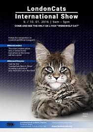 Full cat rescue centre listings for uk and ireland. Werewolf Cat Taking Centre Stage At Londoncats Show In Leatherhead Surrey Live