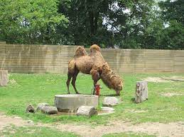 In order to take the advantage of this optional free service, you'll need to. Indiana Zoos The Indiana Insider Blog