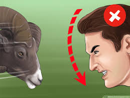 In 1812 byron outraged the british parliament by supporting a controversial bill for workers' rights. How To Defend Against A Ram 7 Steps With Pictures Wikihow