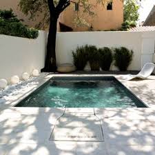 30 Petites Piscines Pour Des Petits Jardins Deco Mini Piscine Petite Piscine Piscine Amenagement Paysager
