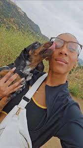 Missing service dog in Avon Park, FL