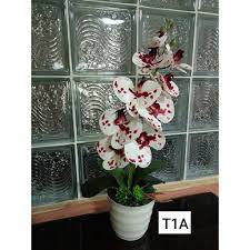 We decorate and design artificial orchids. Bunga Orkid Hiasan Pasu Prices Promotions Dec 2020 Biggo Malaysia