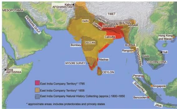 Figure 3 - from The East India Company, the Company's