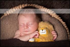 Sue Willis Photography