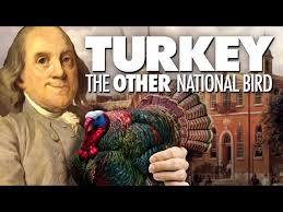 Turkey: The Other National Bird
