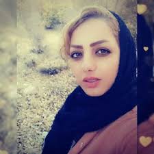 درباره نوین وردپرس