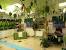Brazilian Carnival Party Decorations