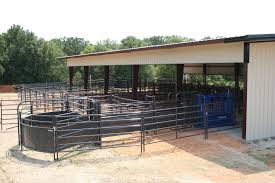 Cattle Equipment Cattle Barn Designs Cattle Facility Cattle Corrals