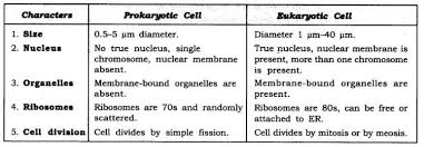 Ncert Solutions For Class 9 Science Chapter 5 The Fundamental Unit Of Life Science Solutions Life