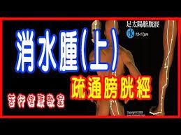 消水腫 苦行老師教你退掉水腫 上集 疏通膀胱經 youtube neon signs exercise signs