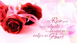 We did not find results for: Love Rose Wallpaper Other Wallpaper Better