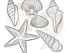 Kartun gambar lucu doodle muda gadis wajah potret avatar sketsa. 8 Tapak Sulaiman Ideas Starfish Tattoo Starfish Starfish Art