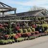 The family tree garden center. 1