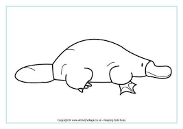 Platypus from phineas and ferb coloring pages. Duck Billed Platypus Coloring Page Novocom Top