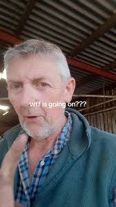 Farmer @user4072002563068 Paul is not wrong! England has lost more than 80%  of our insects in the last 20 years 😐 Good news is, in our fields they are  only increasing 🐝🐞🦋🪲🕷️🪰🦗 We’re regenerating the ...