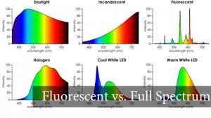 Tips For Buying Measuring Evaluating Led Grow Lights For Orchids Aroids Houseplants Here But Not Led Grow Lights Led Lights Led Light Bulbs