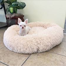This product belongs to home , and you can find similar products at all categories , home & garden , pet products , cat supplies , cat beds & mats. Cozy Calming Bed For Dogs Alpha Paw