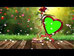 Selective focused at blank green screen of video recorder or camcorder for empty frame background. Pin On Download