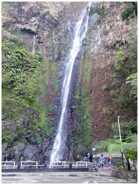 We did not find results for: Air Terjun Sedudo Wikipedia Bahasa Indonesia Ensiklopedia Bebas