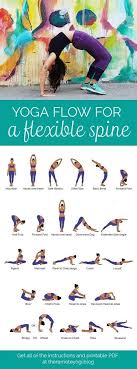 Yoga Poses Back Strength Yoga Flow Types Of Yoga Yoga Postures