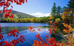 Computer Desktop Wallpapers Full Hd Widescreen Group 1600 1200 Wallpapers Free Do Beautiful Nature Wallpaper Hd Hd Nature Wallpapers Desktop Background Nature