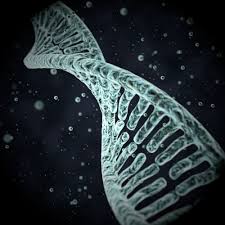 3d Model Human Dna Helix Dna Helix Human Dna 3d Model