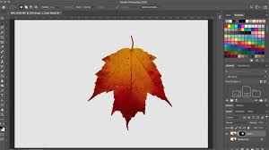 07/01/2021 in tutorial // an introduction to adobe dimension. How To Make A Background Transparent In Photoshop Digital Trends