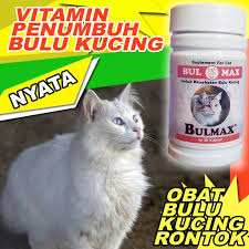 Inilah penyebab bulu kucing rontok dan cara mengatasinyaподробнее. Bm05 Vitamin Penumbuh Bulu Kucing Bulmax Obat Bulu Kucing Anti Rontok Pelebat Bulu Kucing Vitamin Shopee Indonesia