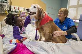 Animal Assisted Therapies - Johns Hopkins All Children's Hospital