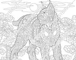 Pin On Adult Color Images Dog Cat