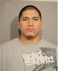 ᐅ Illinois Criminal Records 2009-2025