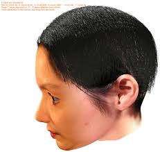 Graphics Group, Computer Science Department, The University of Auckland