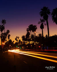 We did not find results for: Palm Tree Sunset Night Photography City Lights Santa Etsy