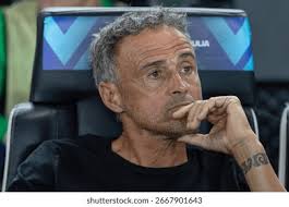 Udine Italy 13 August 2025 Luis Stock Photo 2667901643