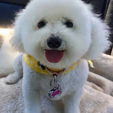 Enjoy free cancellation on most hotels. Lucky S Bed Biscuit 11 Photos 21 Reviews Pet Sitting 508 E Bay Ave Manahawkin Nj Phone Number Yelp