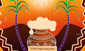 20 Best Pongal Greeting Cards Messages Pongal Quotes Pongal is a south indian festival which lasts for four days. 20 best pongal greeting cards messages
