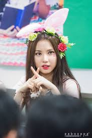 Hey Ladies Photo Cute Bunny Photo Cute