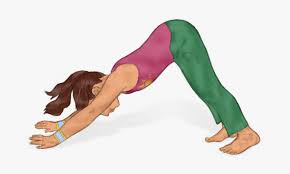 Stretch out and wind down with our collection of calming yoga poses! Pose To Help Children Calm Angry Feelings Animal Yoga Poses For Kids Hd Png Download Kindpng