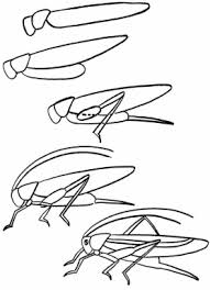 Line Shape Practice Ms Jonesart Infusion Idee Per Disegnare Illustrazioni