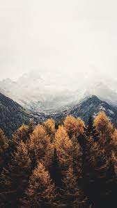 15 Gorgeous Happy Fall Iphone X Wallpapers Preppy Wallpapers Iphone Wallpaper Photos Fall Wallpaper Preppy Wallpaper